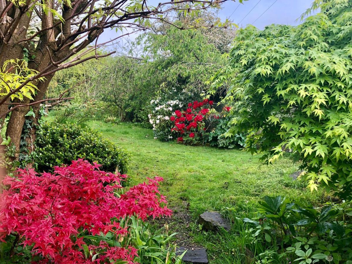 Cilffriw Farm Apartman Neath Kültér fotó
